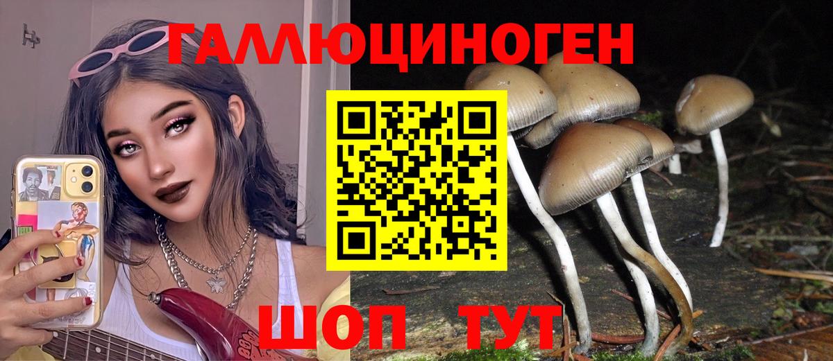 Псилоцибиновые грибы Cubensis Назрань